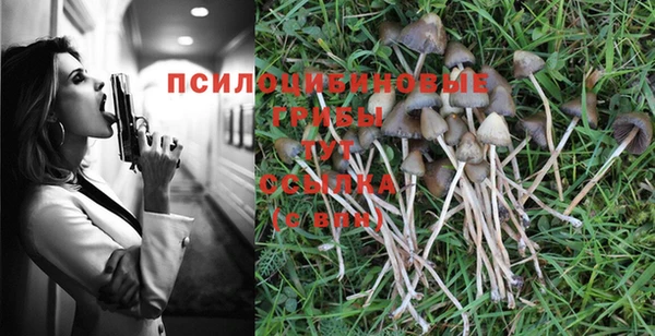 MDMA Premium VHQ Нефтегорск